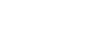 Security Police